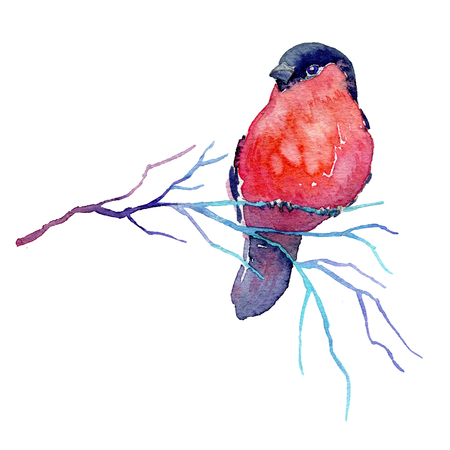 Hand drawn winter branch with a bird. Watercolor illustration of bullfinch sitting on the twig for card, poster or any other design.の写真素材