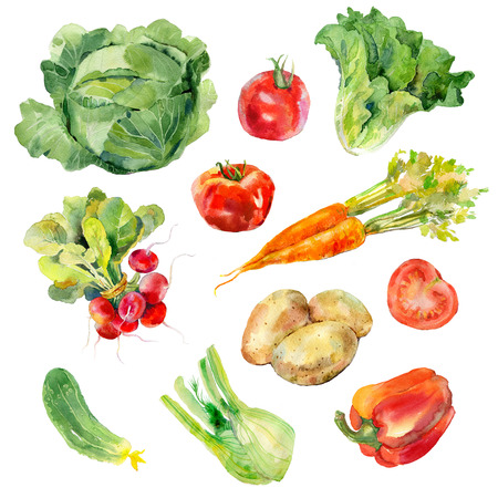 painted collection of vegetables. Fresh colorful veggies backgroundの写真素材