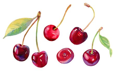 Watercolour cherry illustration. Hand drawn cherries set. Fresh sweet and tasty cherries. Bright and...