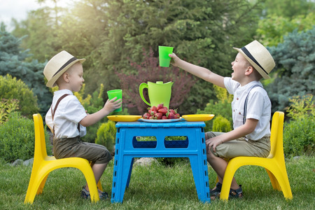 Family picnic.Two brothers eat strawberries and drink juice in nature.の写真素材