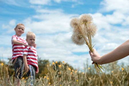 Mom gives the children a bouquet of dandelions.の写真素材