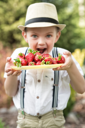 A boy in a straw hat eats a ripe fragrant strawberries.の写真素材