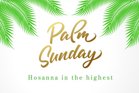 Palm Sunday, Hosanna in the highest. Christian greeting card with calligraphy and palm leaves. bible vector illustrationのイラスト素材