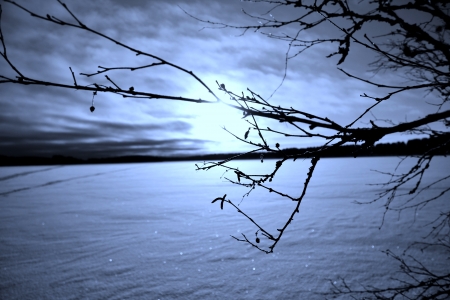 winterの写真素材