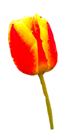 Low poly red tulipのイラスト素材