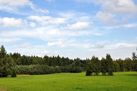 Green field and trees on a background of the beautiful sky