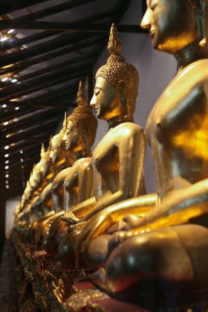 arrange of image buddha