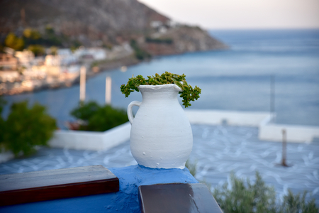 Pot plant on a terrace overlooking the Mediterraneanの写真素材