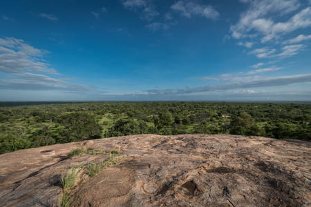 View over african plains Kruger National Park South Africaの写真素材