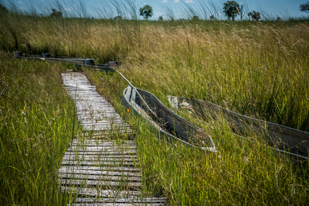 Traditional Makoro canoes on the Okavango Delta Botswanaの写真素材
