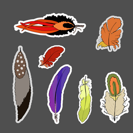 Bohemian set of feathers stickers. Hand drawn vector elements of boho design. Color red, orange, brown, black, green.のイラスト素材