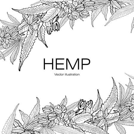 Card, template, banner hand drawing of leaves of hemp cannabis branches. Black and white graphics, vector illustration.のイラスト素材