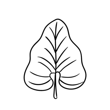 Tropical leaf silhouettes isolated on white background.Philodendron. Black outline vector illustration.のイラスト素材