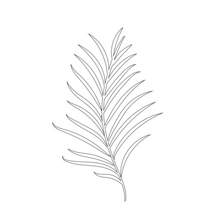 Tropical leaf silhouettes isolated on white background. Chamaedorea. Black outline vector illustration.のイラスト素材