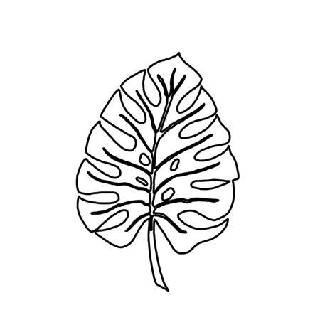 Tropical leaf silhouettes isolated on white background. Monstera. Black outline vector illustration.のイラスト素材