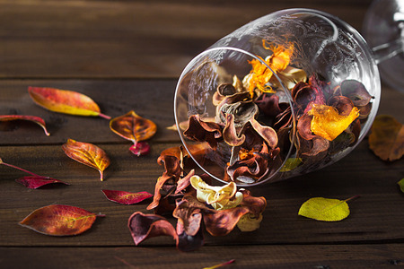 Autumn leaves in a wine glass on wooden table background. Seasonal, sunday relax and still life conceptの写真素材