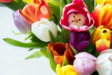 Mix of tulips flowers near the window. macroの写真素材