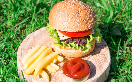 Beef burger with cheese and vegetables with garnish on grassの写真素材
