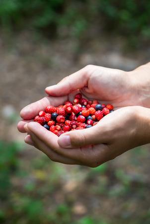 woman holding forest berries in open palms, close up. organic food concept. verticalの写真素材