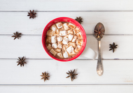 Christmas hot chocolate with marshmellow on light wooden background. top viewの写真素材