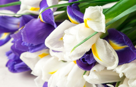 closeup of Bouquet of iris flowers on grey wooden table.の写真素材