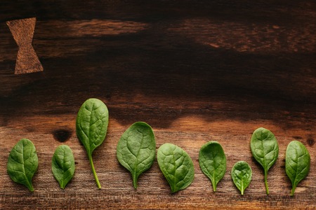 Green leaves of fresh spinach on green wooden textured board, lined up, shot from above.の写真素材