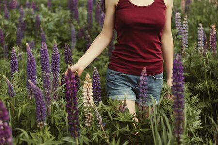 Girl in jeans and t-shirt touches spring blooming lupine flowers.の写真素材