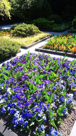 Floral flowerbed flowers area people airport passengersの写真素材