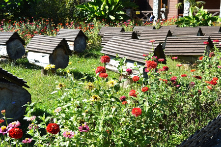 Apiary in the mountains of the North Caucasusのeditorial素材