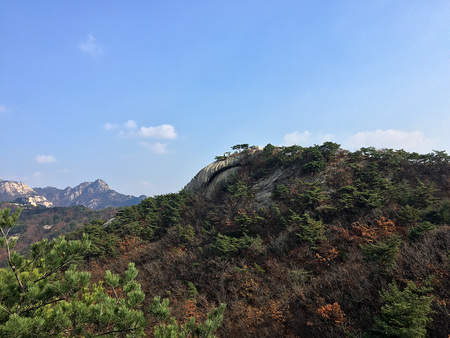 In the mountains with treesの写真素材