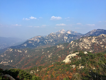 Trees and shrubs grow on the rocky mountainsの写真素材