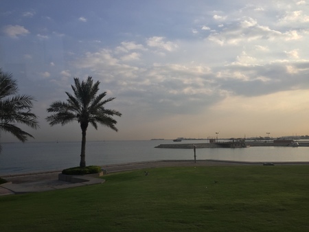 palm tree and green grass on the background of the sea, the pier and cloudsの写真素材