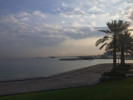 palm tree against the evening sea, the pier and cloudsの写真素材