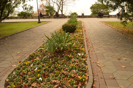 Alley in the autumn seaside Parkの写真素材