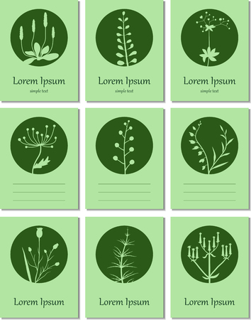 A set of cards with blanks for text. Bright green card with floral elements.のイラスト素材