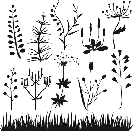 Set plants design elements. Black outline plants and flowers on a white background.のイラスト素材