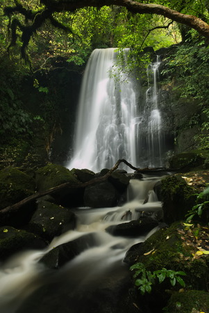 Long exposure of Matai Falls in forest of the Catlins Park. South Island, New Zealand.の写真素材