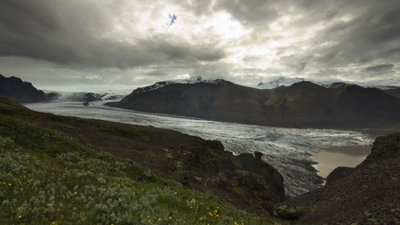 Skaftafellsjokull glacier tongue and glacial lake with flowers and grass in foreground and mountains in background and cloudy sky above it. Skaftafell National Park, Southern Iceland.の写真素材