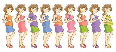 Pregnant woman in different clothes  Nine month set  Isolated vector illustrationのイラスト素材