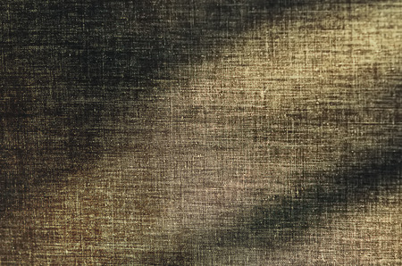 Wood texture similar to cloth, with beautiful side lightingの写真素材