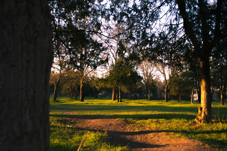 Green Park at sunset-time of day, spring moodの写真素材