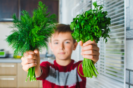 the child in the kitchen with herbs dill and parsley, smiles and shows herの写真素材
