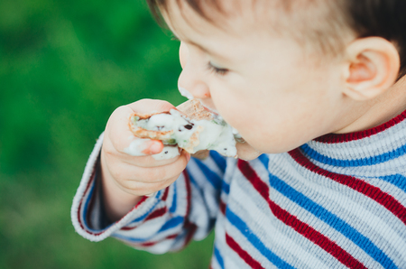 little cute boy eating ice cream three years very appetizing, amid nature, green grassの写真素材