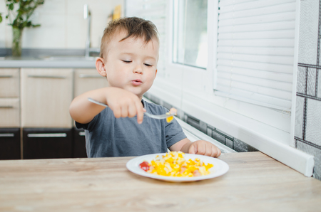 a child in a t-shirt in the kitchen eating an omelet, a forkの写真素材