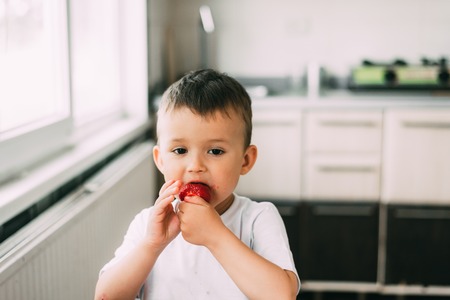 a charming child in a white t-shirt eats fresh homemade strawberries from the gardenの写真素材