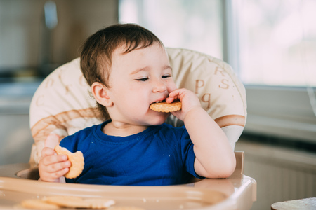 Little girl in a high chair eating round biscuits with pleasureの写真素材