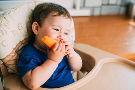 A little funny girl, a child in a high chair eating a carrot in the afternoon in the kitchenの写真素材