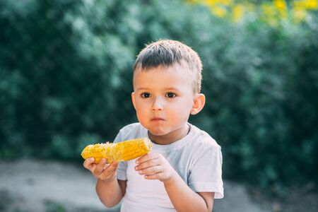 cute boy in the garden or outdoor Park eating boiled corn is very appetizing in summerの写真素材