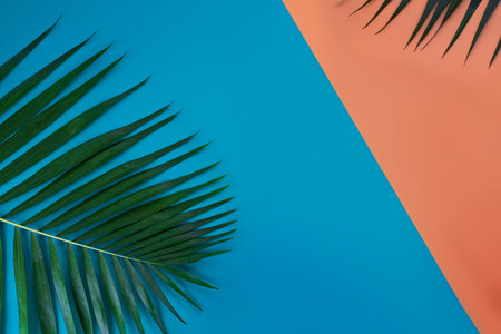 A leafy green palm leaf is on a blue background. The leaf is the main focus of the image, and the blue background creates a calming and serene atmosphereの写真素材