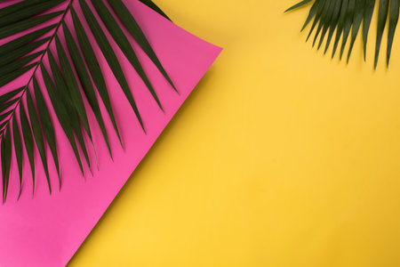 A pink and yellow background with a green leaf on it. The leaf is placed on top of a pink background, creating a vibrant and lively sceneの写真素材